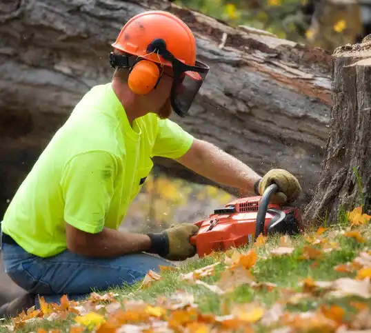 tree services Sedalia